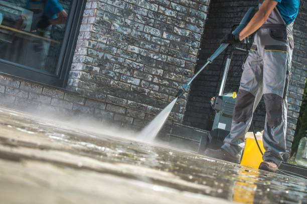 Best Animal Enclosure Cleaning  in Princeville, HI