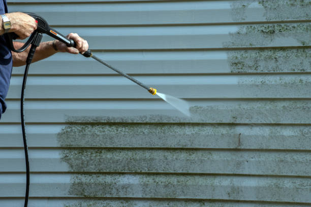 Professional Pressure Washing Services in Princeville, HI